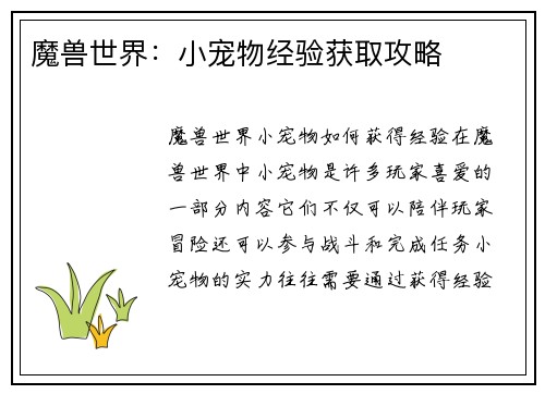 魔兽世界：小宠物经验获取攻略