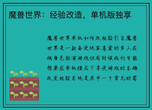魔兽世界：经验改造，单机版独享